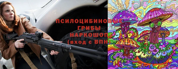 ГАЛЛЮЦИНОГЕННЫЕ ГРИБЫ Алексин