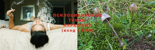 2c-b Алзамай