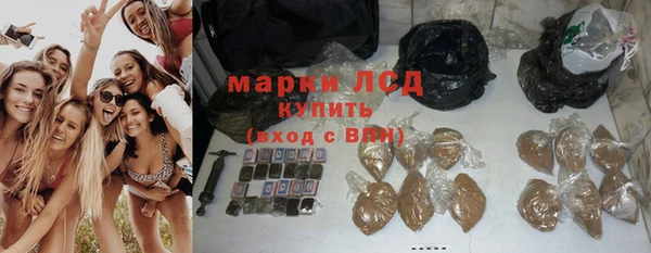 ГАЛЛЮЦИНОГЕННЫЕ ГРИБЫ Алексин
